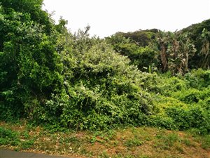 1679 m² Land available in Westbrook