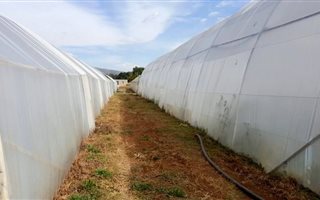 1.5 ha Smallholding in Waterkloof