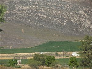 514 ha Farm in Worcester and surrounds
