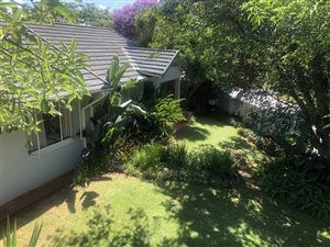 6 Bed House in White River