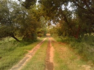 483 ha Farm in Heilbron
