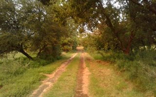483 ha Farm in Heilbron