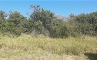 800 m² Land available in Kampersrus AH
