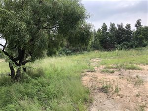 8565 m² Land available in President Park