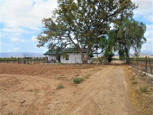 3 Bed House in Calitzdorp