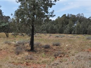 1983 m² Land available in Highbury