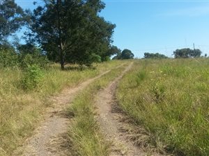 1129 m² Land available in Cato Ridge
