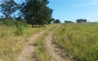 1129 m² Land available in Cato Ridge