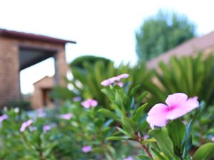 4 Bed House in Mackenzie Park