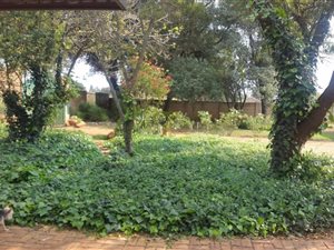 1 ha Farm in Sundra