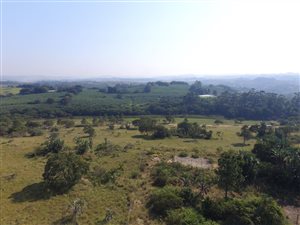 3895 m² Land available in Palm Beach