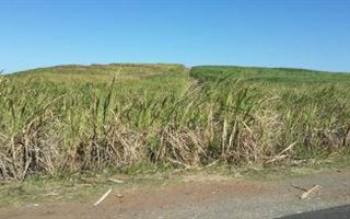 1146 m² Land available in La Mercy