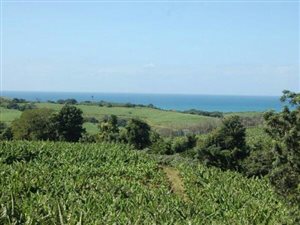 12 ha Farm in Marina Beach