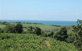 12 ha Farm in Marina Beach