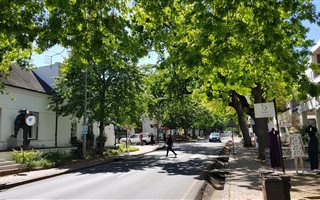1 Bedroom Apartment in Stellenbosch Central