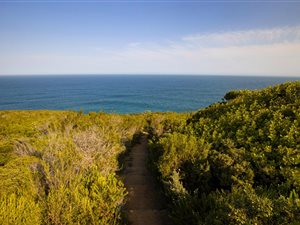 684 m² Land available in Herolds Bay