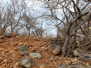 3011 m² Land available in Blyde Wildlife Estate