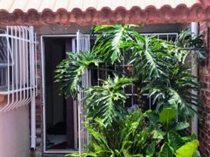 1 Bed Garden Cottage in Sydenham