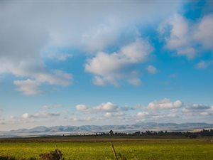 334 ha Farm in Humansdorp