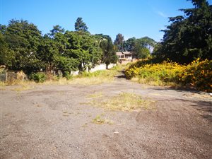 3167 m² Land available in Ashley