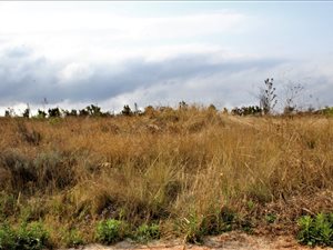 1193 m² Land available in Aqua Vista