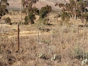 1285 m² Land available in Willowmore