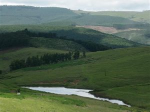 81.5 ha Land available in Dargle