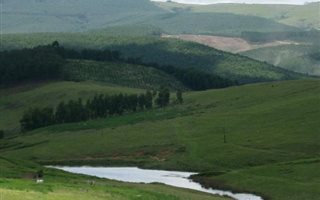 81.5 ha Land available in Dargle