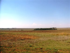 600 ha Land available in Bronkhorstspruit