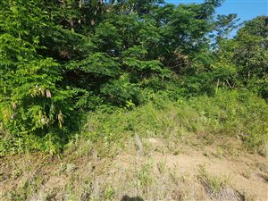 1779 m² Land available in Westville