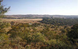 4.2 ha Land available in Tiegerpoort