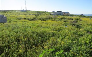 750 m² Land available in Hoogland