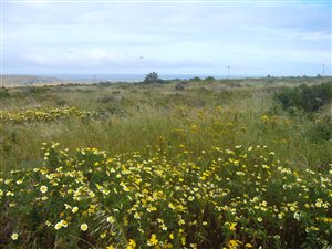 751 m² Land available in Hoogland