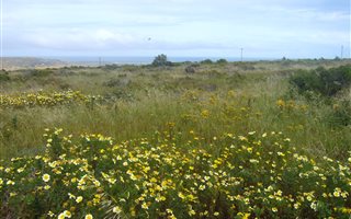 751 m² Land available in Hoogland