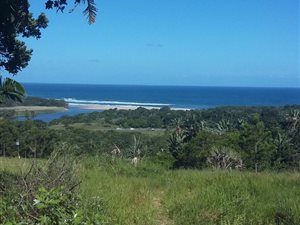 940 m² Land available in Palm Beach