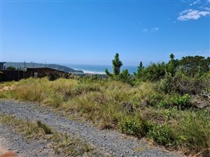 940 m² Land available in Palm Beach
