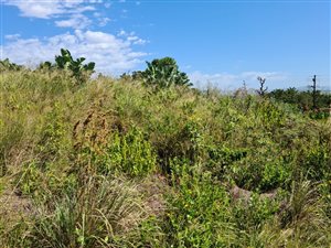 940 m² Land available in Palm Beach