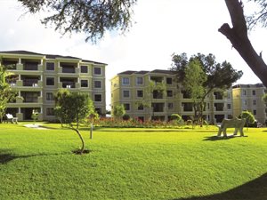 3 Bed Flat in Cedar Lakes
