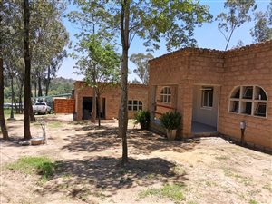 Studio apartment in Ruimsig AH
