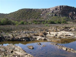 980 ha Farm in Ladismith
