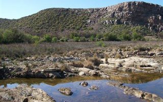 980 ha Farm in Ladismith