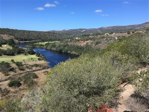 23 ha Farm in Stilbaai