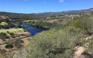23 ha Farm in Stilbaai