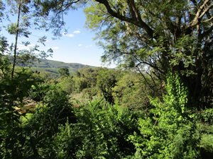 1935 m² Land available in Blackridge