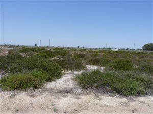 542 m² Land available in Laaiplek