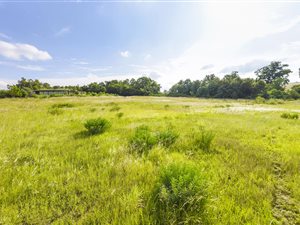 3443 m² Land available in Lanseria and surrounds