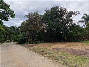 1 ha Farm in Tzaneen