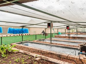 2.6 ha Farm in Raslouw