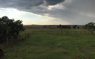 8.5 ha Farm in Rietfontein