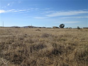 1981 m² Land available in Moorreesburg